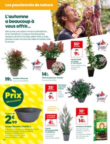 Promotion Décoration Noël dans le prospectus Truffaut, valable du 17/10/2025 au 02/11/2025 Promo Décoration Noël dans le catalogue Truffaut du moment à la page 4