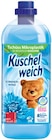 Fit Spülmittel oder Kuschelweich Weichspüler Angebote von Fit bei REWE Bietigheim-Bissingen für 1,49 €