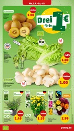 Schnittblumen Angebot & Preis im aktuellen Penny Prospekt Schnittblumen Angebot im aktuellen Penny Prospekt auf Seite 3
