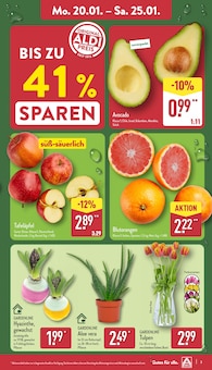 Möhren Angebot im aktuellen ALDI Nord Prospekt auf Seite 3