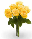 Aktuelle Pflanzen Angebote bei Netto Marken-Discount in Mönchengladbach Aktuelles Großköpfige Hochland Rosen Angebot bei Netto Marken-Discount in Mönchengladbach ab 4,44 €