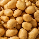Pomme de terre primeur de Noirmoutier spéciale Frite 2 kg. - SANS dans le catalogue Carrefour