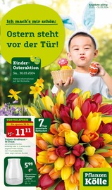 Aktueller Pflanzen Kölle Prospekt mit Gartenpflanzen, "Ostern steht vor der Tür!", Seite 1