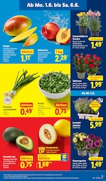 Lidl Pfirsiche im Prospekt Lidl Pfirsiche im Prospekt