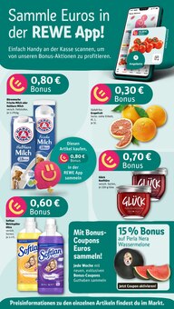 Aktueller REWE Prospekt "Dein Markt" für Mannheim Aktueller REWE Prospekt für Mannheim mit Seiten