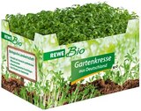 Bio Kresse von REWE Bio im aktuellen REWE Prospekt für 0,49 €