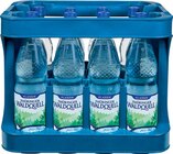 Klassik im Angebot bei Netto Marken-Discount in Eisenach Klassik Angebote von Thüringer Waldquell bei Netto Marken-Discount Eisenach für 4,99 €