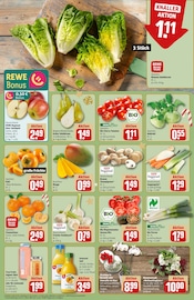 Aktueller REWE Prospekt mit Blumen, "Dein Markt", Seite 12