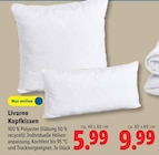 Kopfkissen Angebote von Livarno bei Lidl Wunstorf für 5,99 €