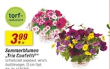 Angebot im toom Baumarkt Eckental Prospekt toom Baumarkt Eckental Prospekt mit im Angebot fĂŒr 3,99 âŹ