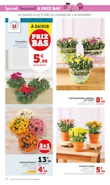 Chrysanthèmes Angebote im Prospekt "U Express" von U Express Chrysanthèmes Angebote im Prospekt "U Express" von U Express auf Seite 10