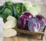 Chou à Netto dans Les Petits Robins