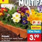 Aktuelles Primeln Angebot bei Netto Marken-Discount in Heidelberg ab 3,99 €