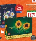 Aktuelles Botanicals Sonnenblumen Angebot bei Marktkauf in Münster ab 12,99 €