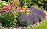Lavendel im Angebot bei Netto Marken-Discount in Iserlohn Lavendel Angebote bei Netto Marken-Discount Iserlohn für 3,99 €