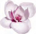 Aromatherapie Angebote von Vernel bei EDEKA Stade für 1,49 €