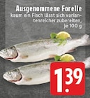 Ausgenommene Forelle im Angebot bei E center in Bocholt Ausgenommene Forelle Angebote bei E center Bocholt für 1,39 €