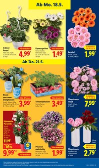 Pflanzen im Lidl Prospekt "LIDL LOHNT SICH" mit 75 Seiten (Jena)