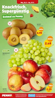Äpfel im Penny-Markt Prospekt "Wer günstig will, muss Penny." mit 32 Seiten (Mönchengladbach)