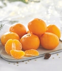 Promo Mandarine à 2,99 € dans le catalogue Intermarché Contact à Felletin