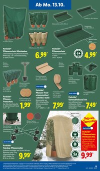 Teppich im Lidl Prospekt "LIDL LOHNT SICH" mit 68 Seiten (Jena)
