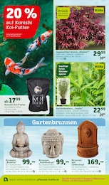 Sträucher im Pflanzen Kölle Prospekt "Genuss im Frühlingsgarten!" auf Seite 8