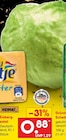 Eisberg-salat bei Netto Marken-Discount im Prospekt "" für 0,88 €