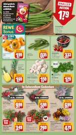 Ananas im REWE Prospekt in Offenbach Aktueller REWE Prospekt mit Ananas, "Dein Markt", Seite 9