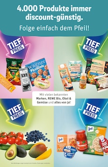 Kleintierstreu Angebot im REWE Prospekt, gültig von 19.10.2026 bis 24.10.2026 Kleintierstreu Angebot im aktuellen REWE Prospekt auf Seite 25