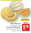 Galia Melonen Angebot in Schwäbisch Hall Galia Melonen im aktuellen Prospekt bei EDEKA in Schwäbisch Hall