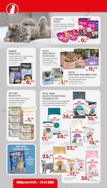 Aktueller Zookauf Prospekt mit Katzenfutter, "GUT VERSORGT INS NEUE JAHR!", Seite 6