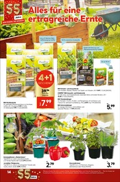 Blumenerde im Hellweg Prospekt in Dortmund Aktueller Hellweg Prospekt mit Blumenerde, "Lieblingsplatz", Seite 14