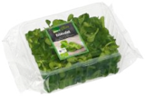 Rucola von EDEKA im aktuellen Marktkauf Prospekt