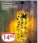Solar-Hängedeko Sonnenblume Angebote bei GLOBUS Braunschweig für 14,99 €