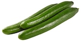 Salatgurke im REWE Prospekt Salatgurke von im aktuellen REWE Prospekt für 0,79 €