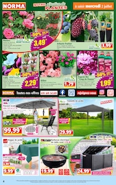Géranium Angebote im Prospekt "Votre Discounter Régional" von Norma Géranium Angebote im Prospekt "Votre Discounter Régional" von Norma auf Seite 4