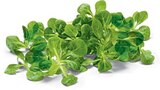 Netto Marken-Discount - Bio Feldsalat Angebot im Prospekt Bio Feldsalat bei Netto Marken-Discount im Prospekt "" für 1,29 €