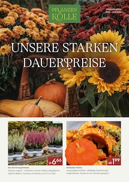 Pflanzen Kölle Prospekt für Erlangen mit 5 Seiten Pflanzen Kölle Prospekt für Erlangen: "UNSERE STARKEN DAUERPREISE", 5 Seiten, 01.10.2026 - 31.10.2026