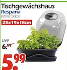 Tischgewächshaus im Angebot bei Wreesmann in Cottbus Tischgewächshaus Angebote von Respana bei Wreesmann Cottbus für 5,99 €