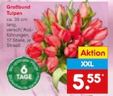 Großbund Tulpen Angebote bei Netto Marken-Discount Heidelberg für 5,55 €
