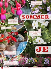 Aktueller Garten-Center Nordharz GmbH & Co. KG Prospekt mit Blumen, "NOCH BLUMIGER GEHT NICHT!", Seite 2