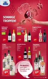 Rotwein im Trink und Spare Prospekt in Kaarst Aktueller Trink und Spare Prospekt mit Rotwein, "Aktuelle Angebote", Seite 4