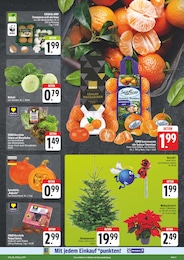Salat Angebot & Preis im aktuellen EDEKA Prospekt Salat Angebot im aktuellen EDEKA Prospekt auf Seite 3