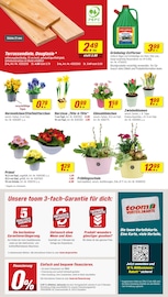 Aktueller toom Baumarkt Prospekt mit Blumentopf, "Respekt, wer's selber macht.", Seite 2