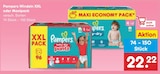 Windeln XXL oder Maxipack im Angebot bei Netto Marken-Discount in Ansbach Windeln XXL oder Maxipack Angebote von Pampers bei Netto Marken-Discount Ansbach für 22,22 €