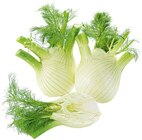 Fenchel bei REWE im Prospekt "" für 