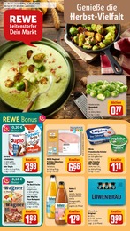 REWE Prospekt für Markt Indersdorf mit 30 Seiten REWE Prospekt für Markt Indersdorf: "Dein Markt", 30 Seiten, 20.10.2025 - 25.10.2025