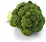 Brokkoli im Angebot bei Netto Marken-Discount in Mannheim Brokkoli Angebote bei Netto Marken-Discount Mannheim für 1,49 €