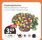 V-Markt Peiting Prospekt mit  im Angebot für 3,49 €
