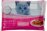 Pâtées pour chat - CARREFOUR COMPANINO EXPERT à 2,29 € dans le catalogue Carrefour
